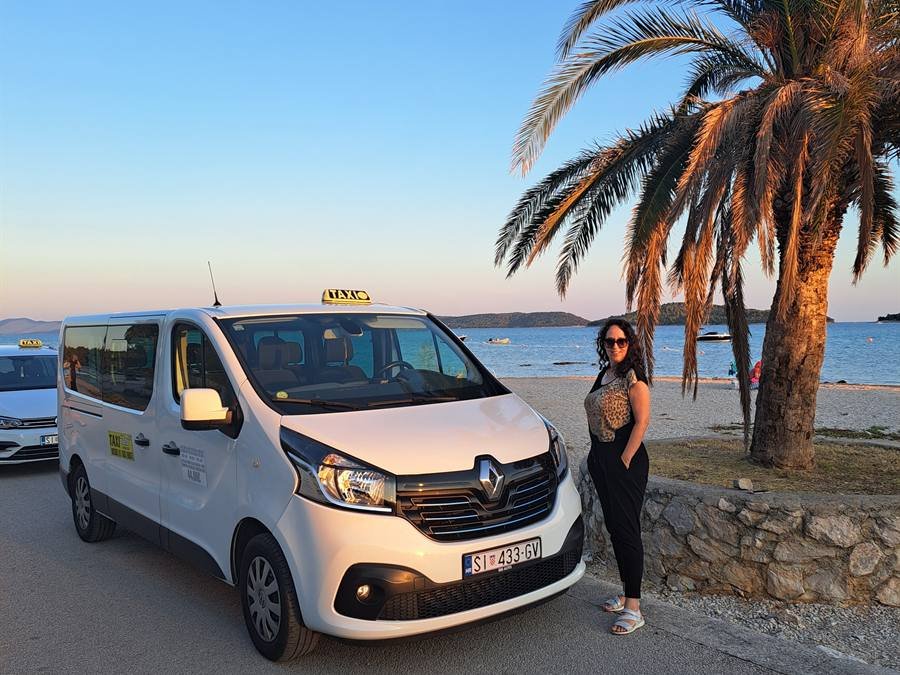 Taxi Ana Vodice minibus by a palm tree